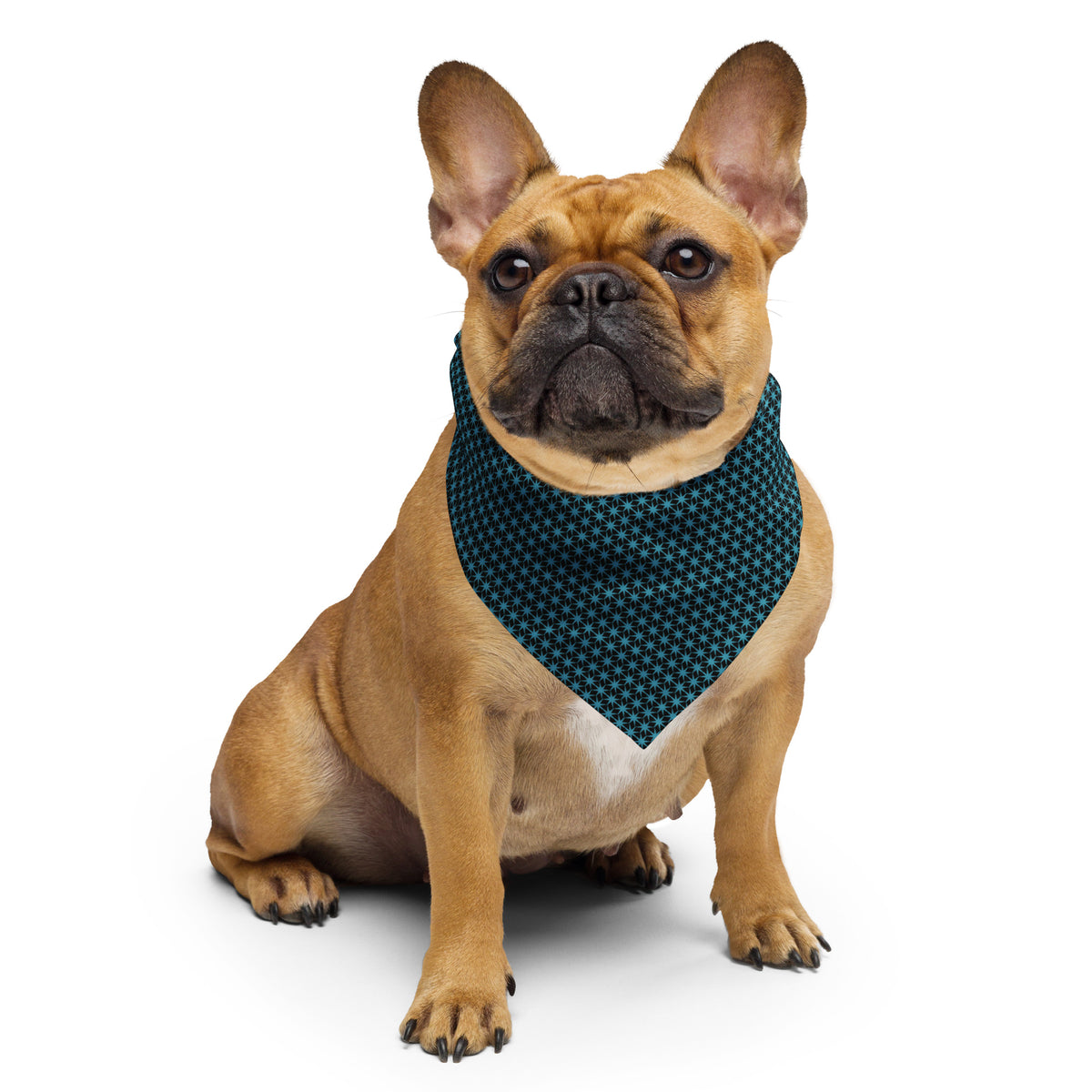 CH Bandana