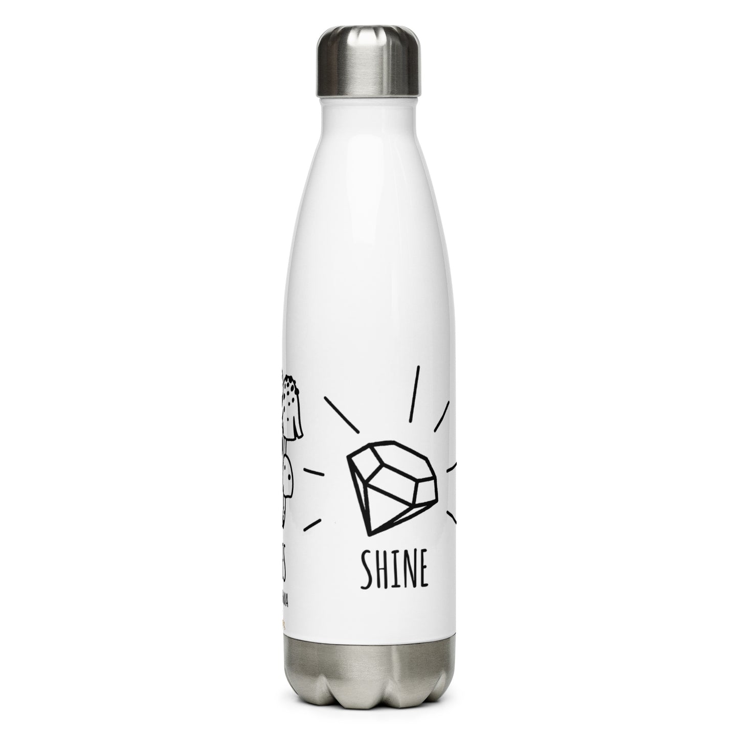 HVS Stainless Steel Water Bottle